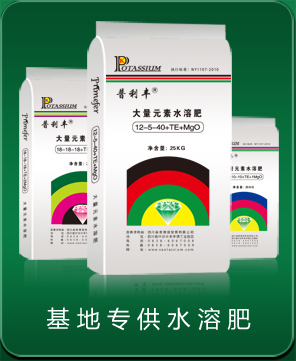 基地专供水溶肥